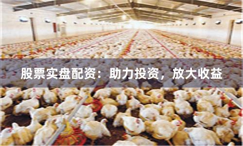 股票实盘配资：助力投资，放大收益